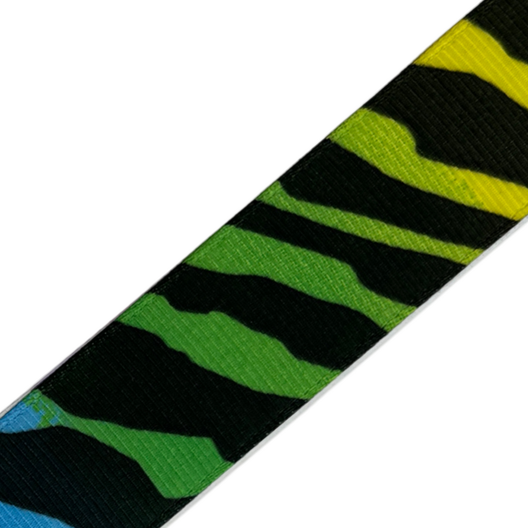Rainbow Zebra Interchangeable Visor Band