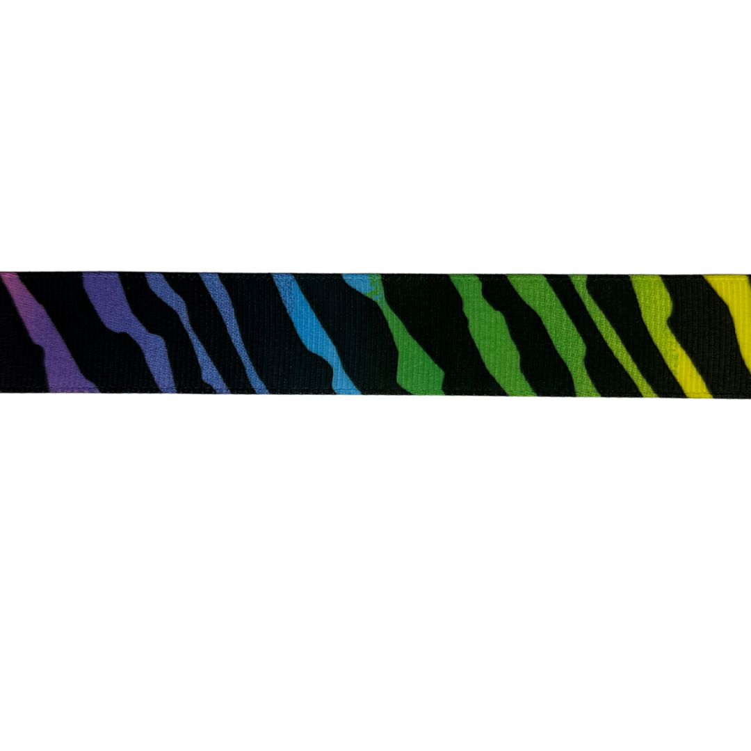 Rainbow Zebra Interchangeable Visor Band