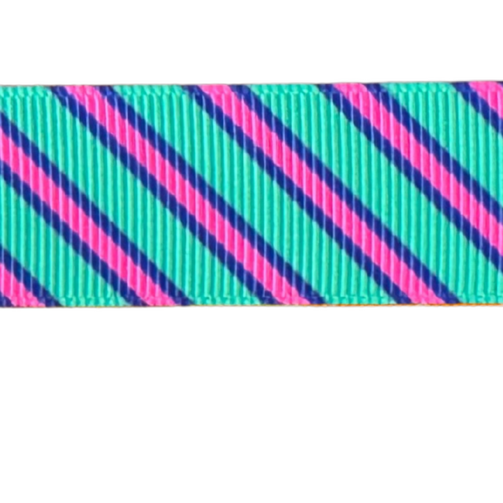 Preppy Preppy Stripes Interchangeable Visor Band