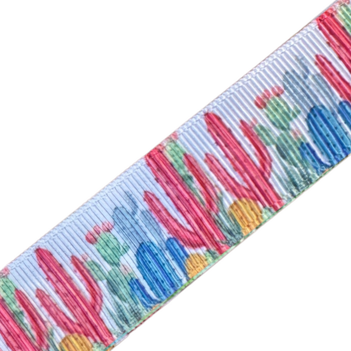 Perfect Cactus Interchangeable Visor Band