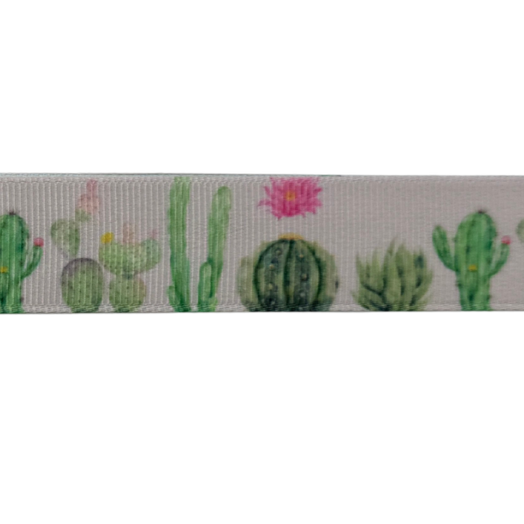 Cactus Serenity Interchangeable Visor Band
