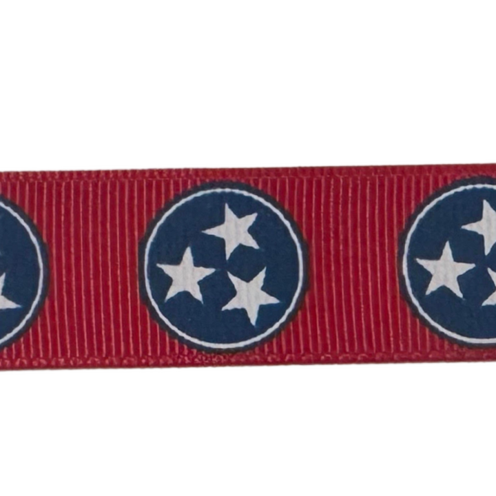 Tennessee Interchangeable Visor Band