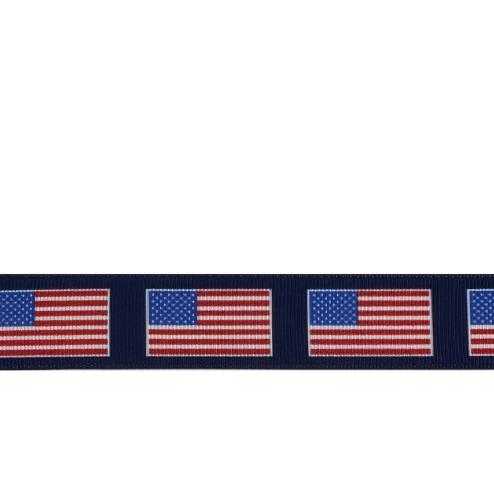 American Flag Interchangeable Visor Band