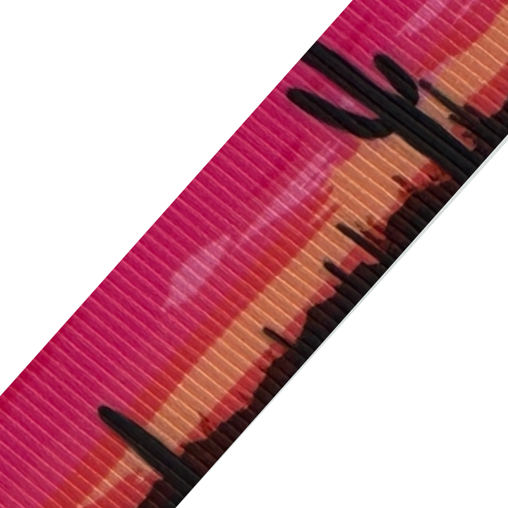 Sunset Bloom Cactus Interchangeable Visor Band