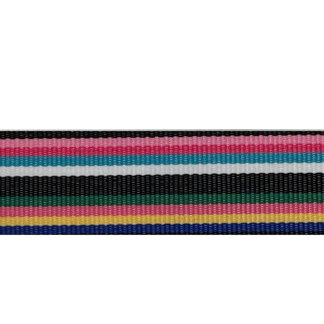 Vibrant Stripes Interchangeable Visor Band