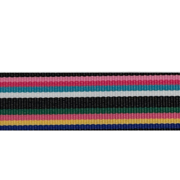 Vibrant Stripes Interchangeable Visor Band