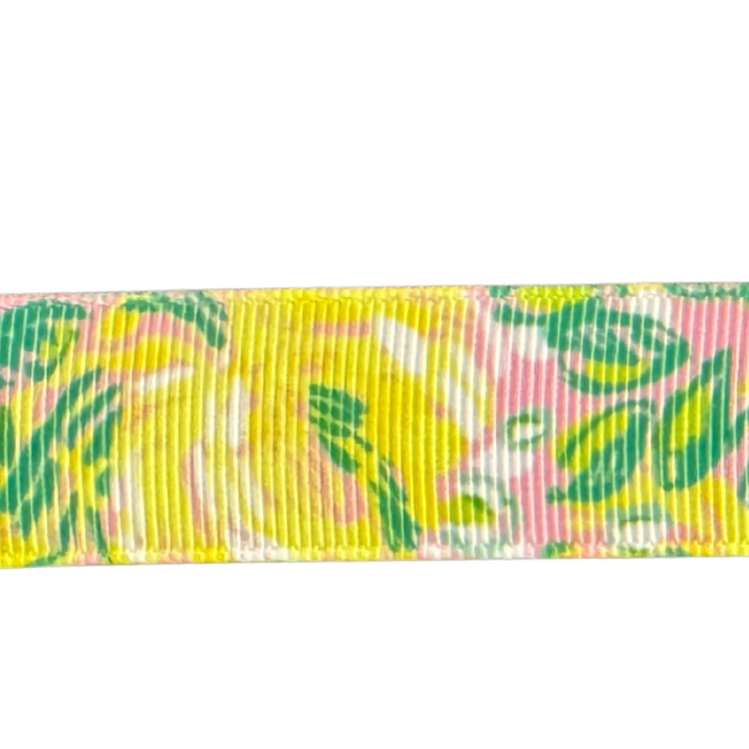 Sunshine Interchangeable Visor Band