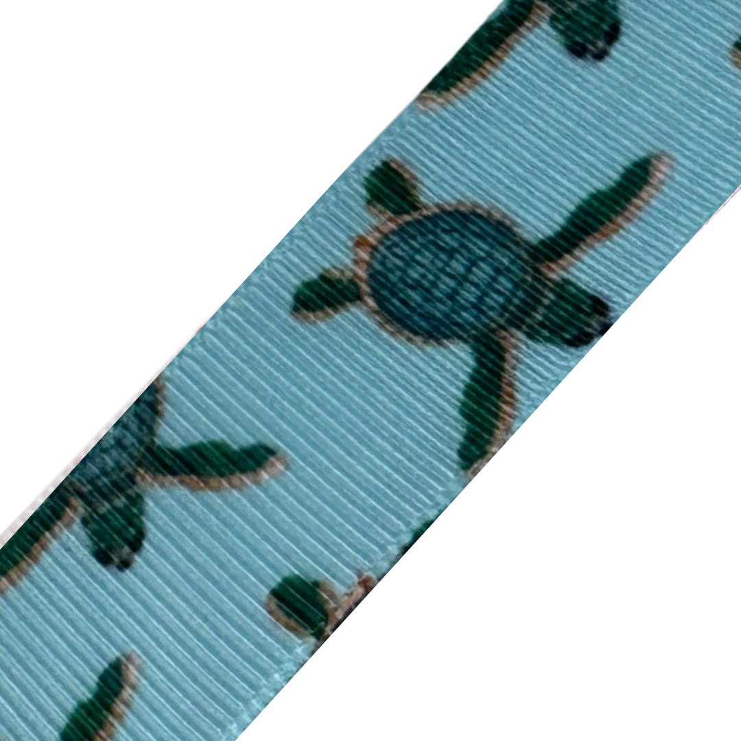 Cheerful Turtles Interchangeable Visor Band