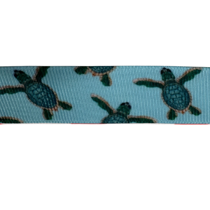 Cheerful Turtles Interchangeable Visor Band