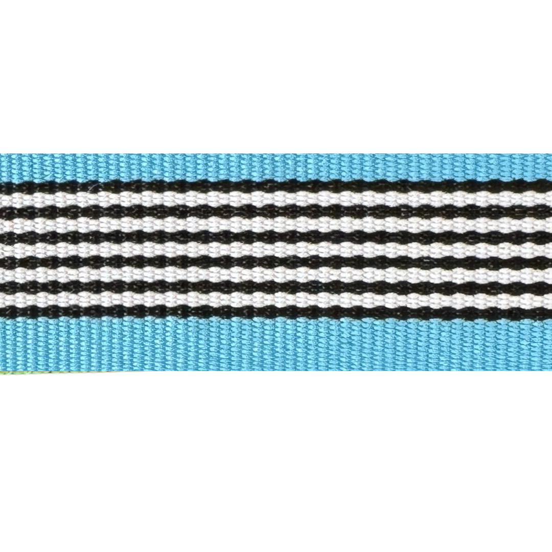 Blue Steel Interchangeable Visor Band