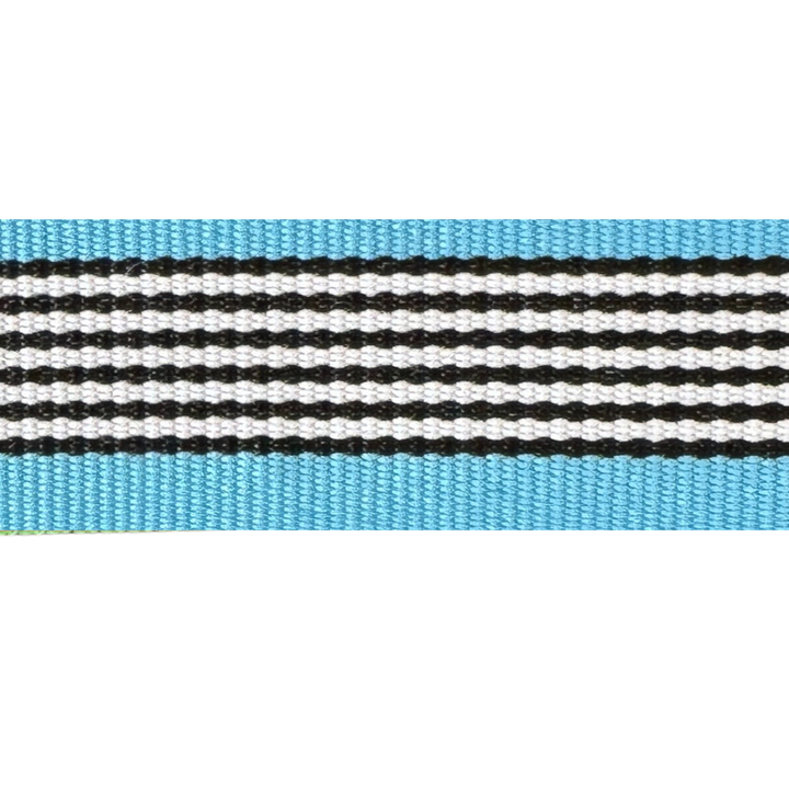 Blue Steel Interchangeable Visor Band