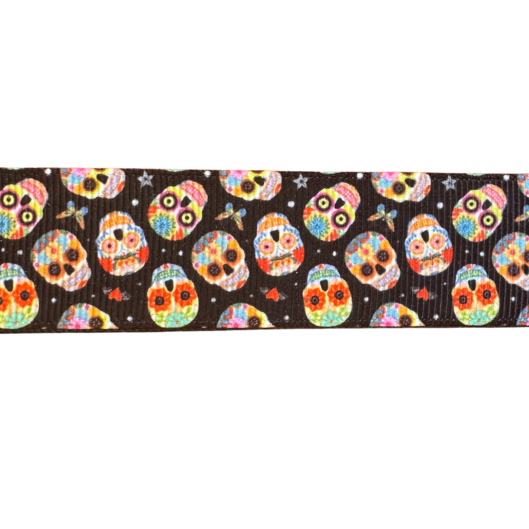 Colorful Skulls Interchangeable Visor Band