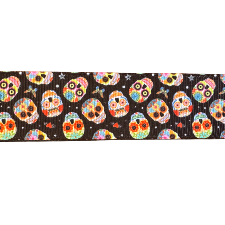 Colorful Skulls Interchangeable Visor Band
