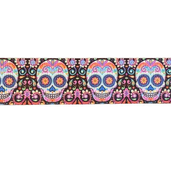 Colorful Skulls Interchangeable Visor Band