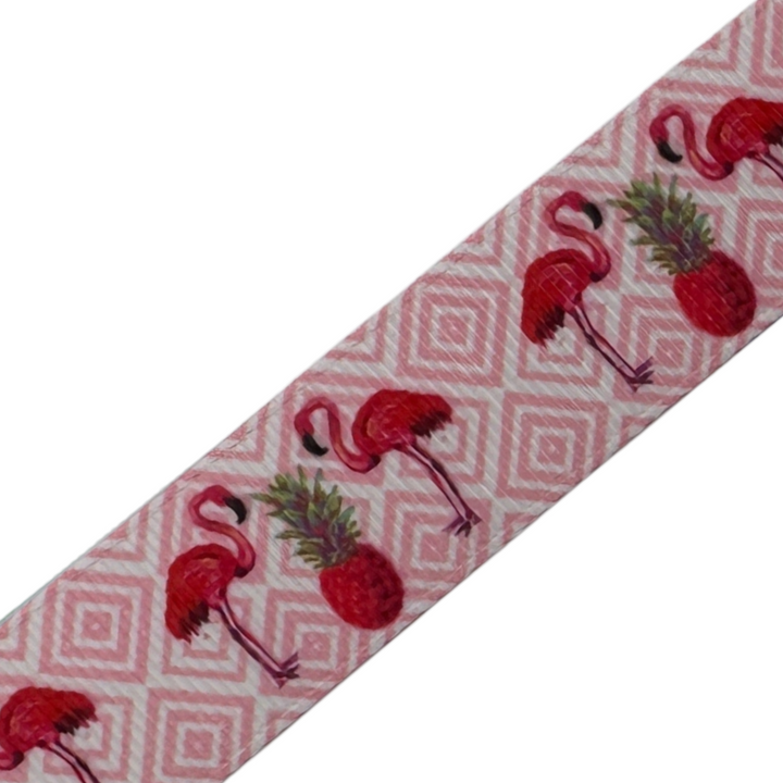 Tropical Tango Interchangeable Visor Band